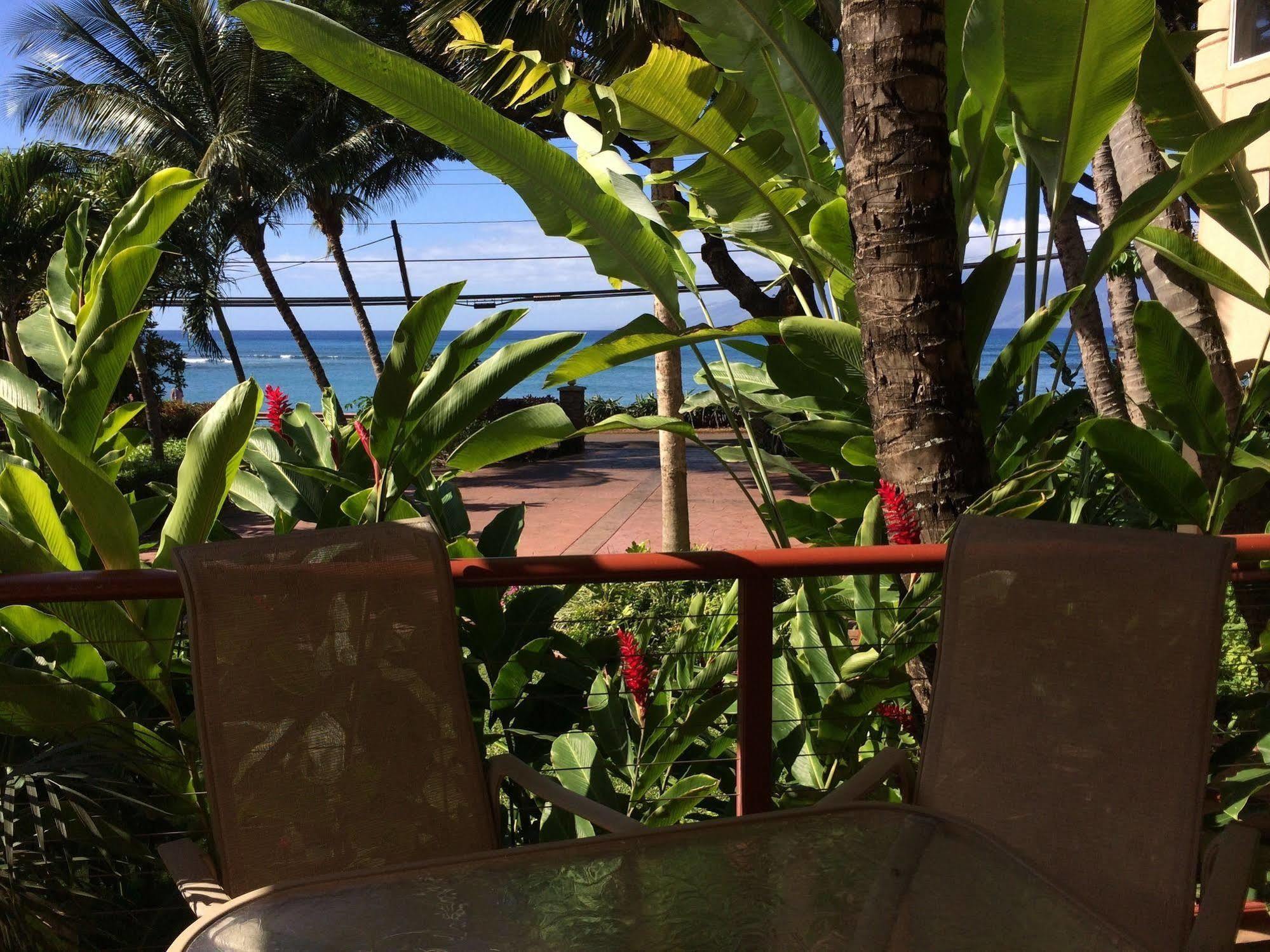 Maui Beach House B & B Kahana Extérieur photo